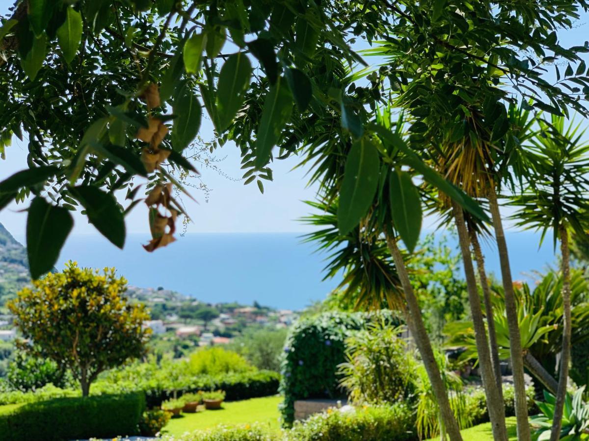 Appartement Casa Ischitana à Forio di Ischia Extérieur photo