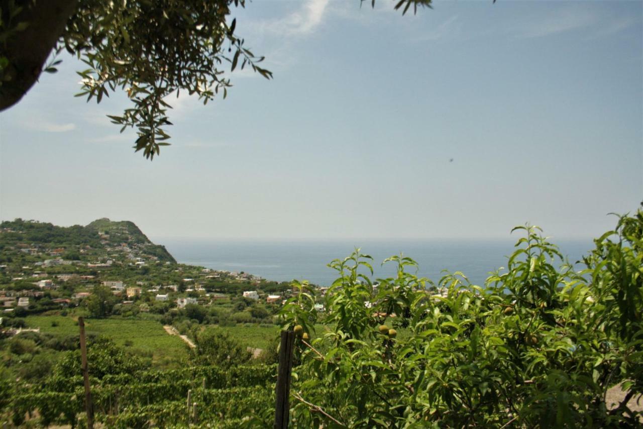 Appartement Casa Ischitana à Forio di Ischia Extérieur photo