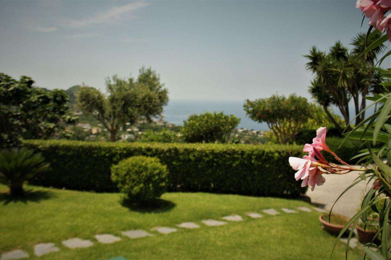 Appartement Casa Ischitana à Forio di Ischia Extérieur photo