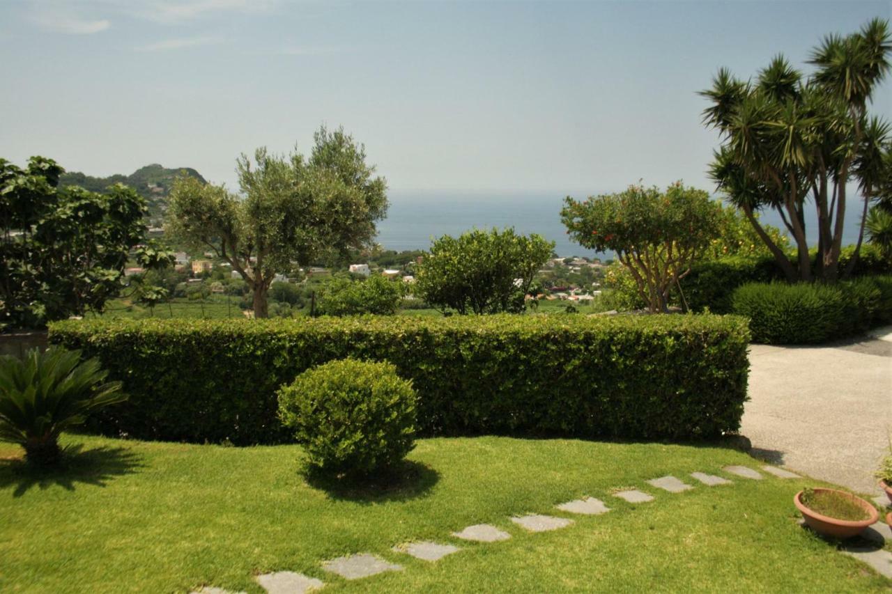 Appartement Casa Ischitana à Forio di Ischia Extérieur photo